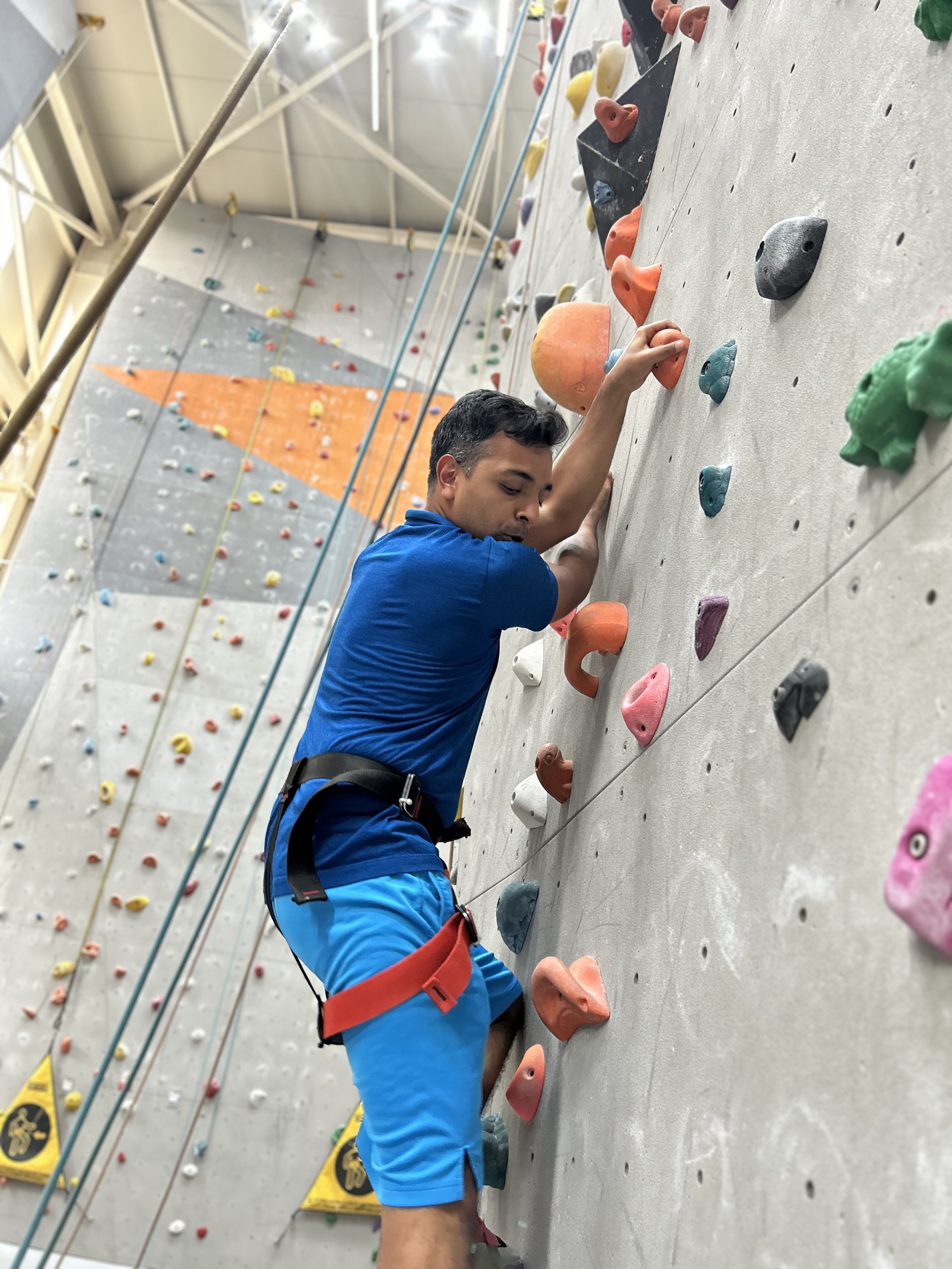 Adults enjoying indoor climbing workout